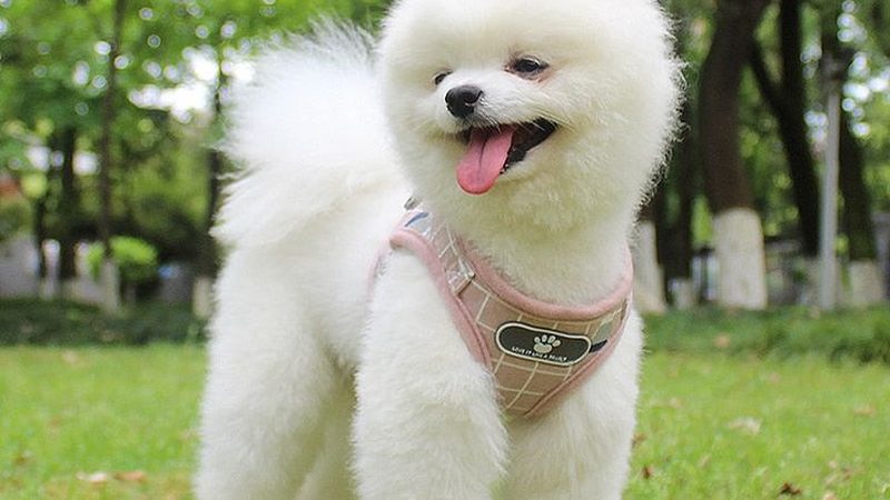 冷库安装验收保温板标准：确保冷库保温效果的关键